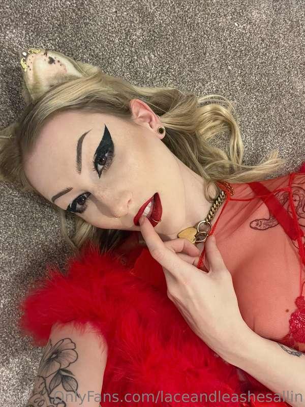 laceandleashesallin image #1