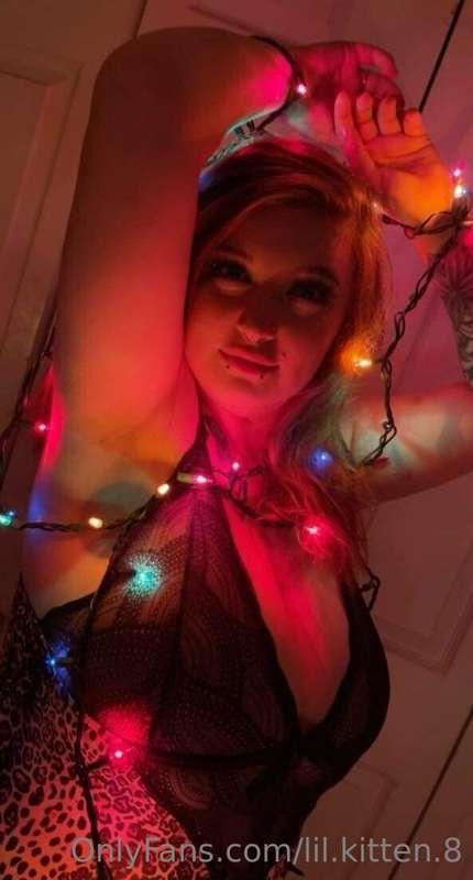 lil.kitten.8 image #0