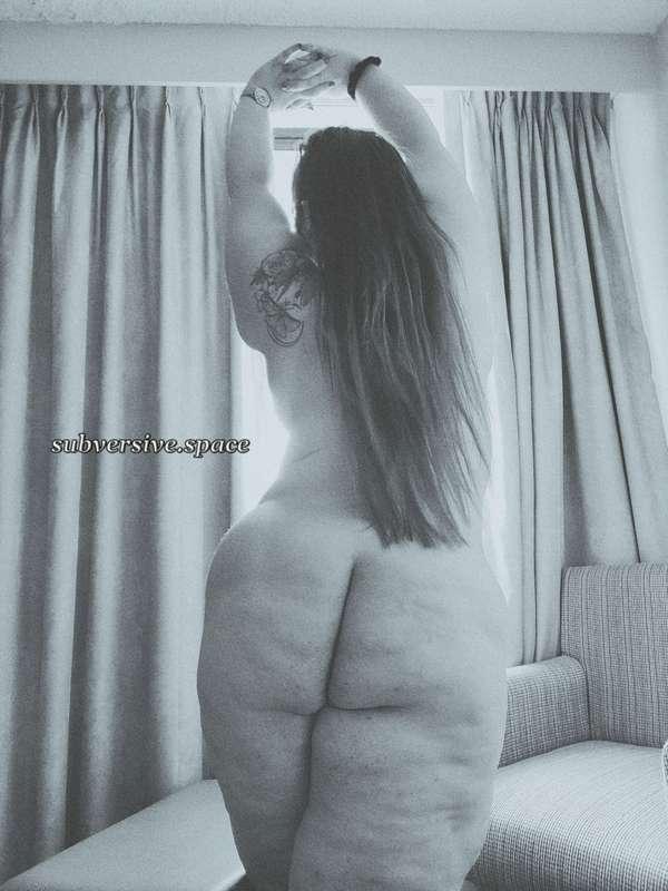 narratophile image #1