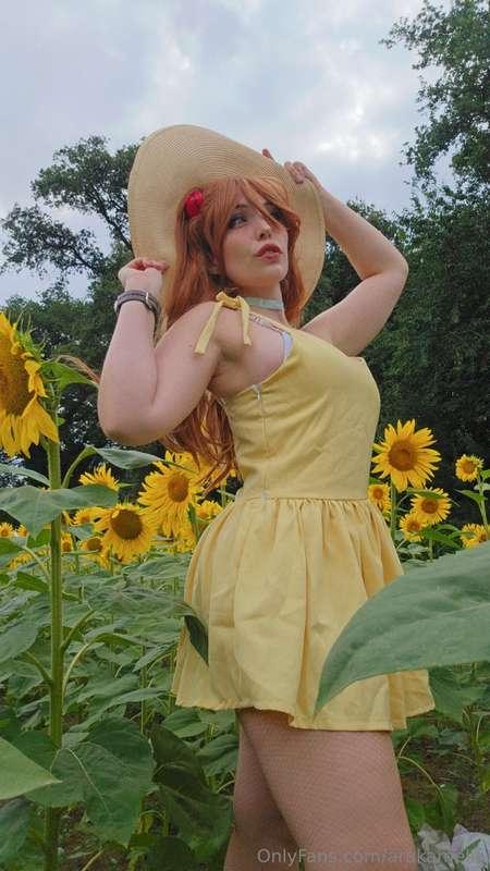 Come in a sunflower field with me🌻