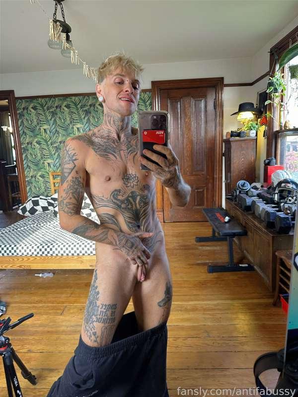 antifabussy image #1