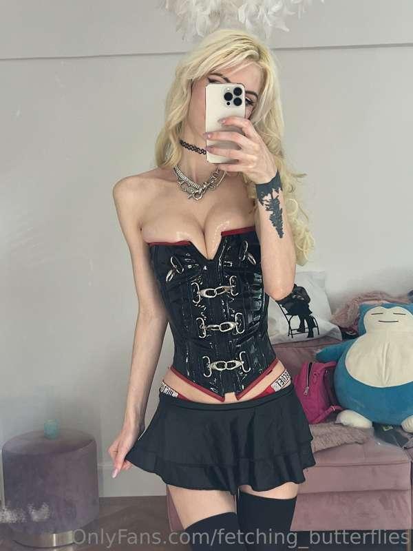 fetching_butterflies image #2