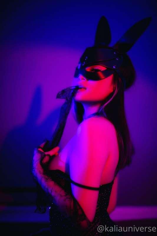 bad bunny. click me.