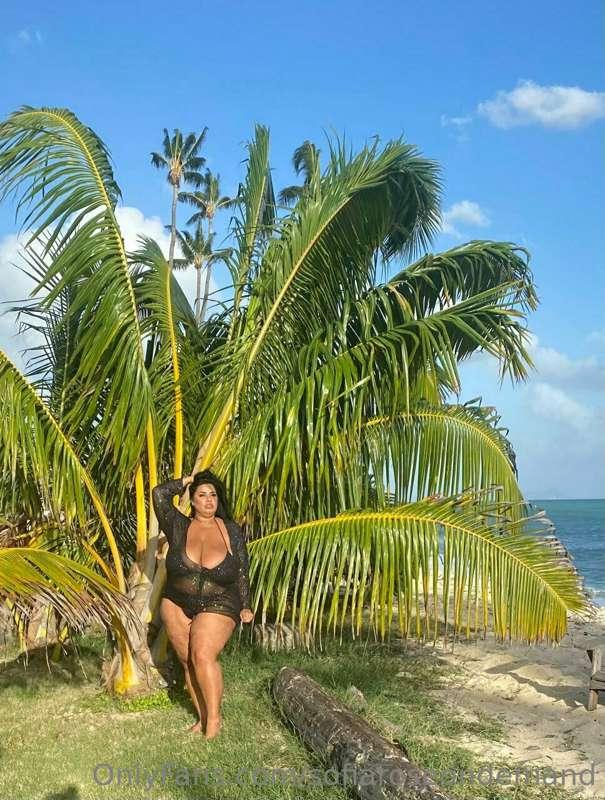 Lost in paradise 🌴