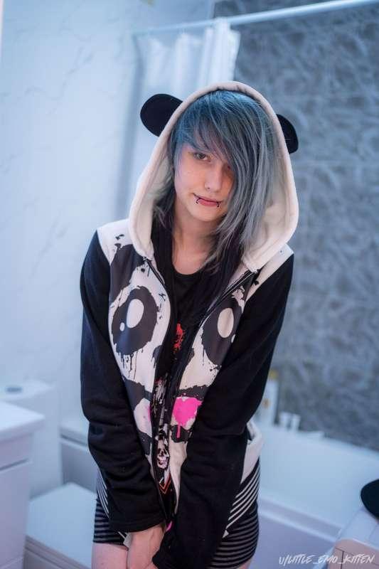 little_emo_kitten image #5