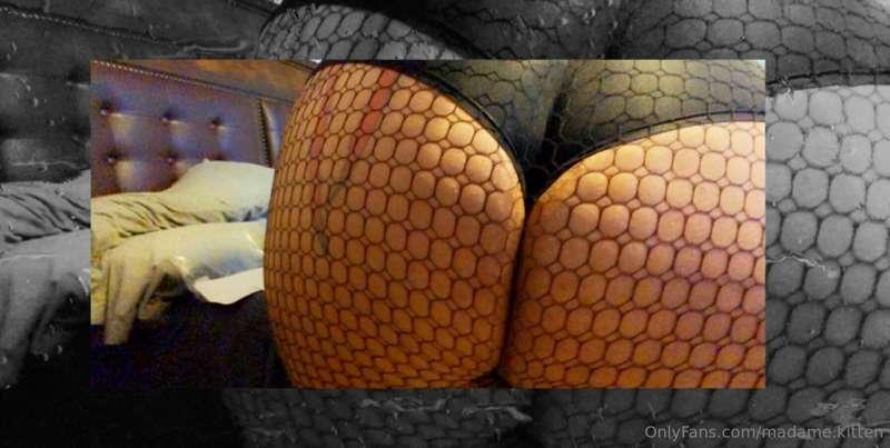 madame.kitten image #4