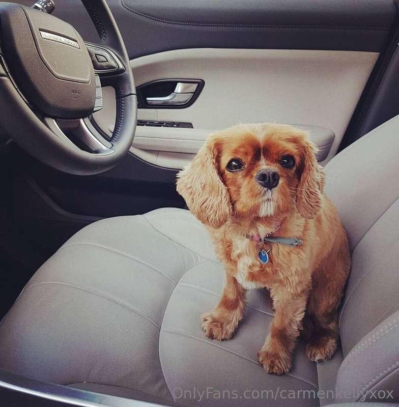 RIP to my best furry friend xx
