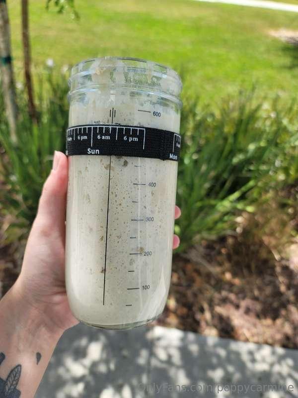 I’ve successfully not killed the sourdough starter & one day..