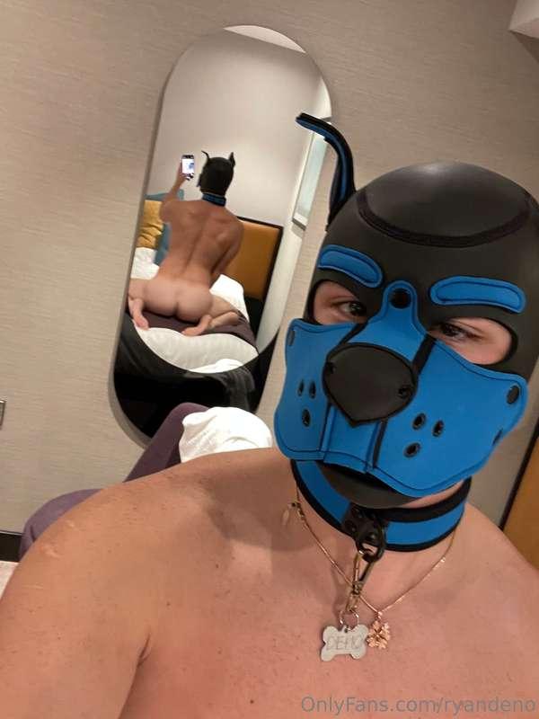 ryandeno image #11