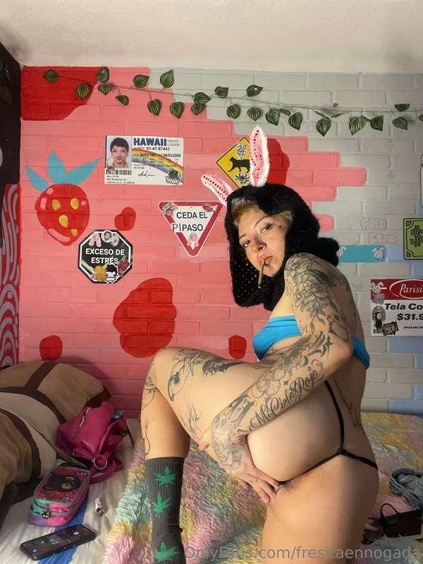 fresitaennogada image #3