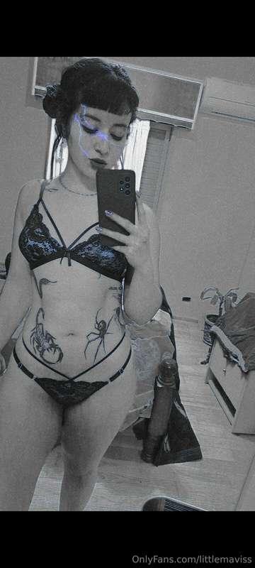 🦂🖤🕷️