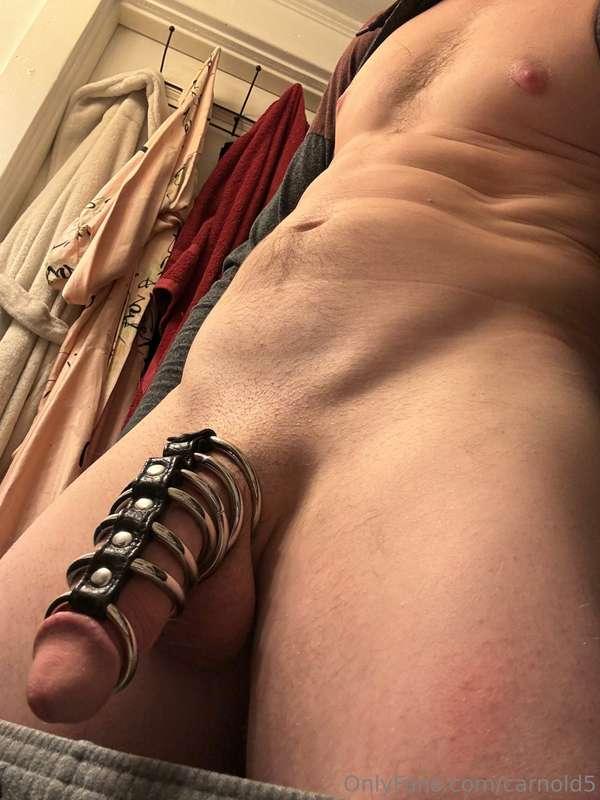 carnold5 image #3