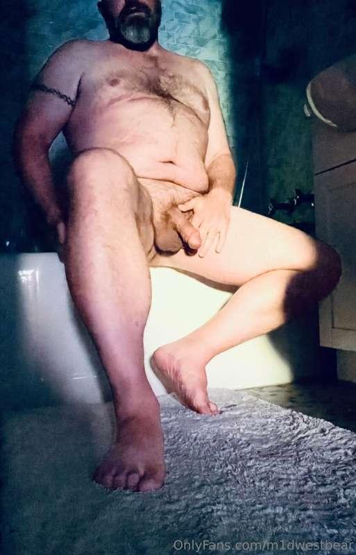 m1dwestbear image #8