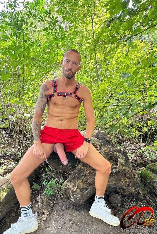 I took advantage of a small sunny 😎 walk in the forest 🌳 to ..