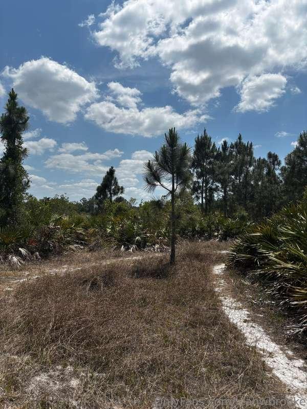 leahwbrooke image #1