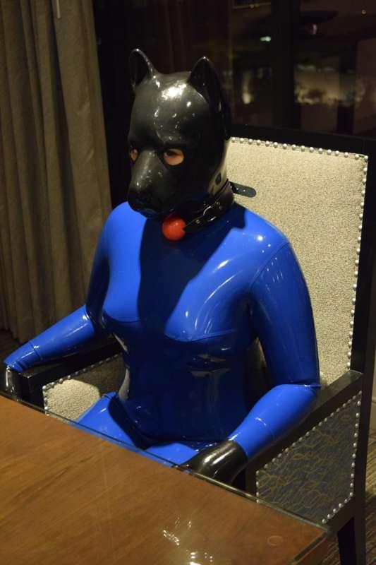 049 - Blue Pup (Part 1)