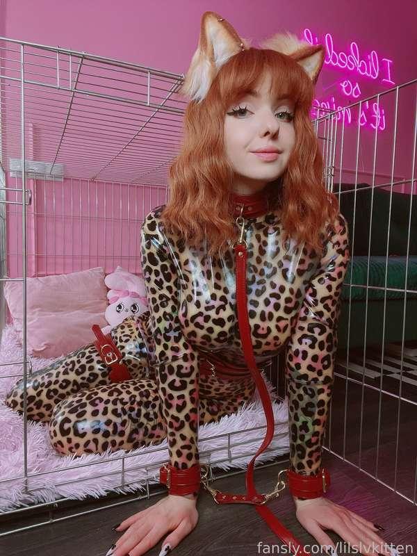 lilslvkitten image #2