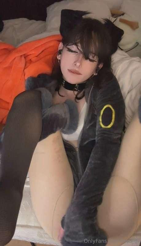 bwu_gi image #3