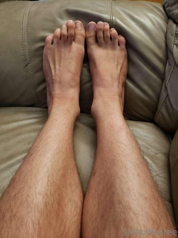 sirwolfiefree image #0