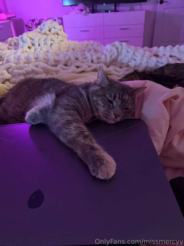 Someone doesnt want me to work😅