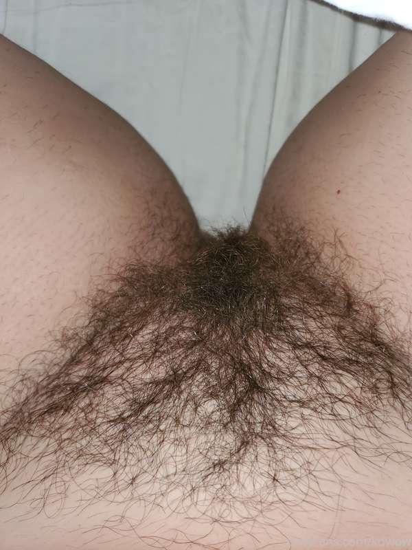 Bush is still in good shape 😃