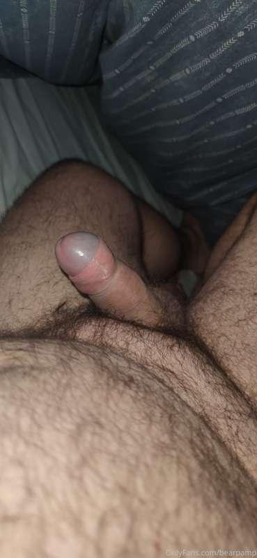 bearpamp image #3