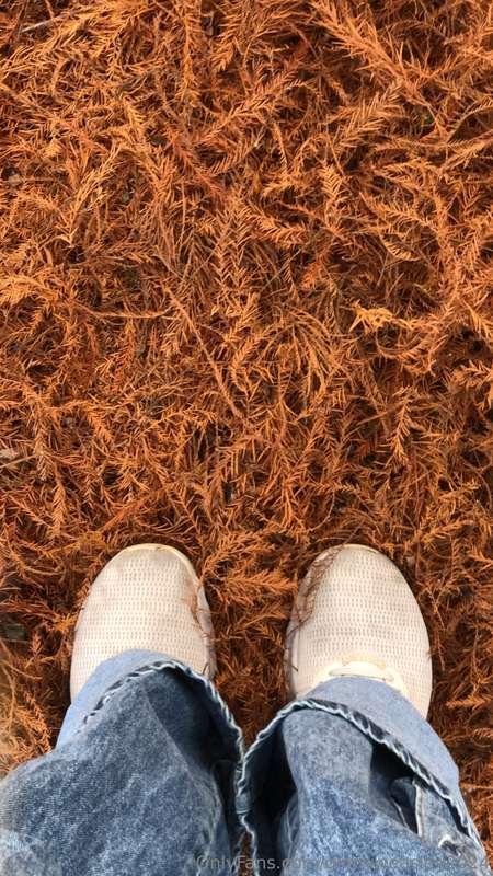 dominga2024 image #0