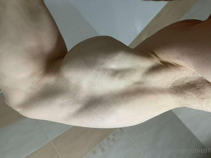 armzbro97 image #0