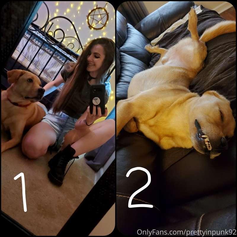 Its national dog day!!   My dog might be sluttier than I am...
