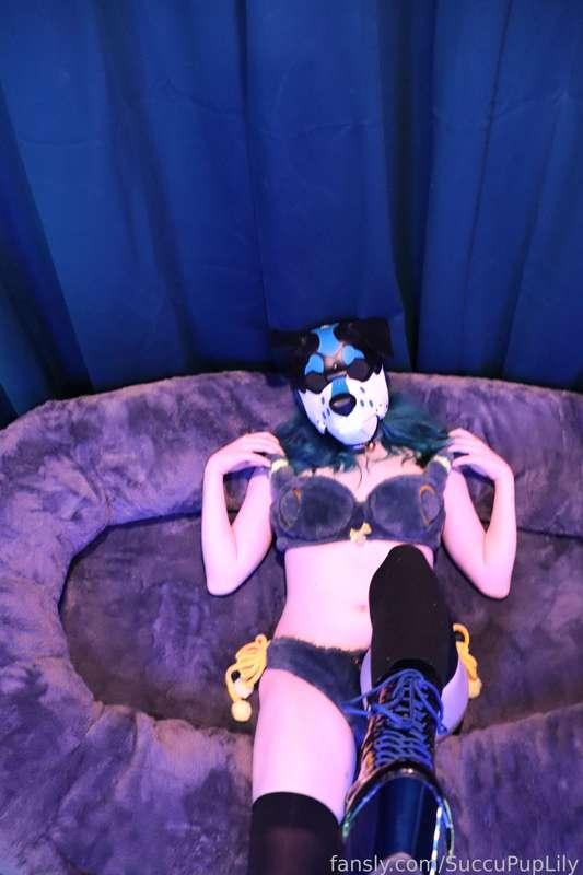 succupuplily image #69