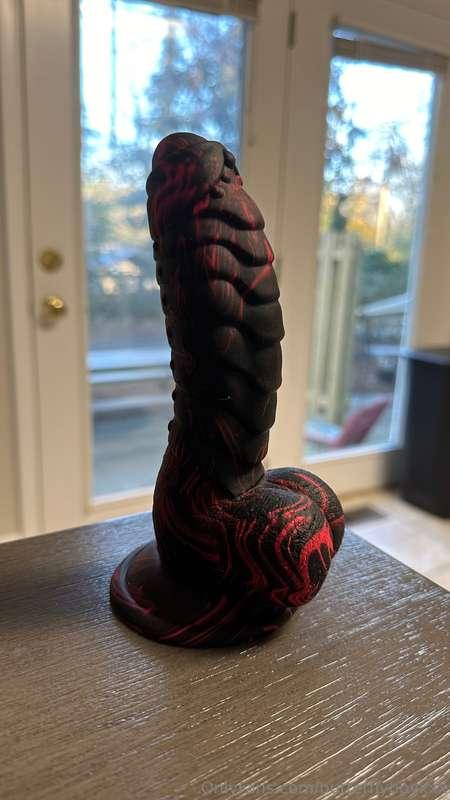 Someone got me a new toy… how should I play with it first?😜😜