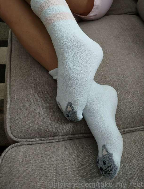 Snuggling up in my pussy cat socks🐱🥰