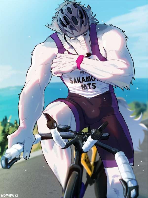 CYCLE*CLOSED*