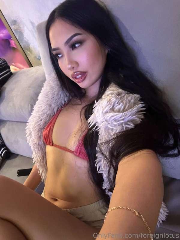 foreignlotus image #0