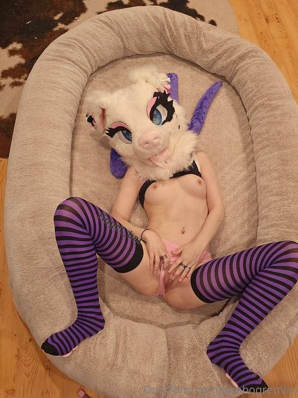 The puppy needs puppies so bad! 