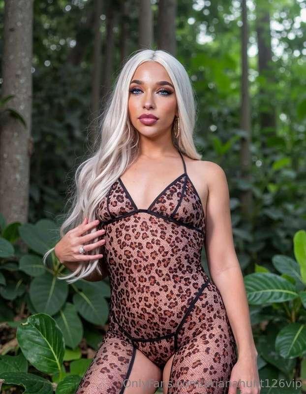 Why imagine it when you can see it all?