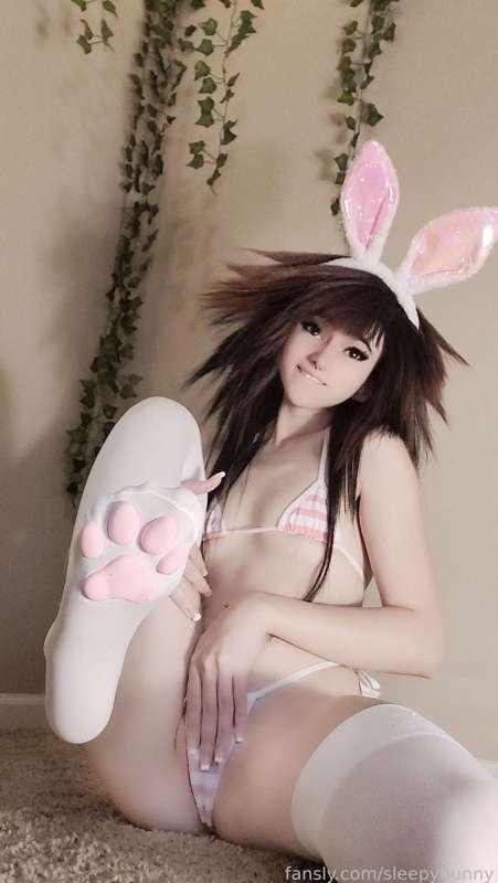 sleepybunny image #1