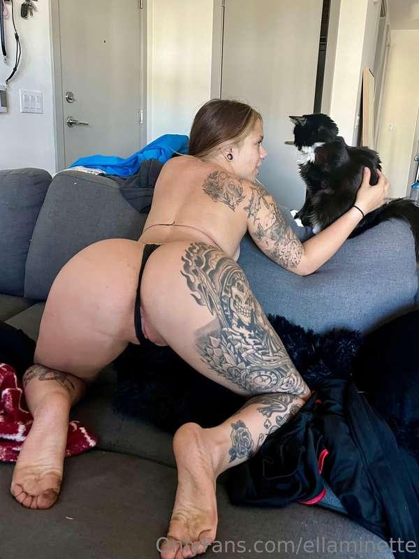 ass n kitties 🥰🍑🐱💞