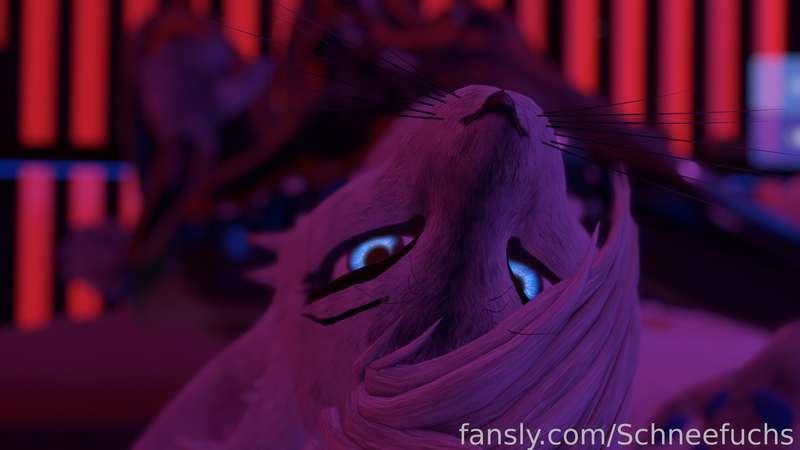 Here's some squeaky fun for you all to enjoy~
More spicy content tomorrow ;*