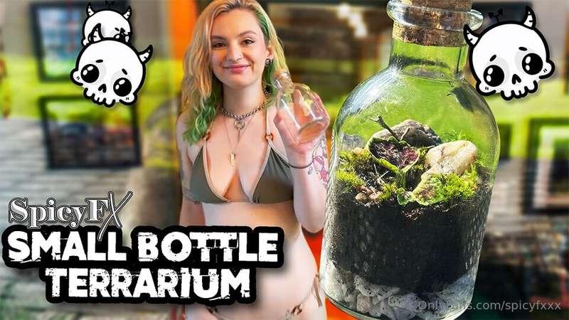 FREE video, watch me make a small terrarium in a bottle whil..