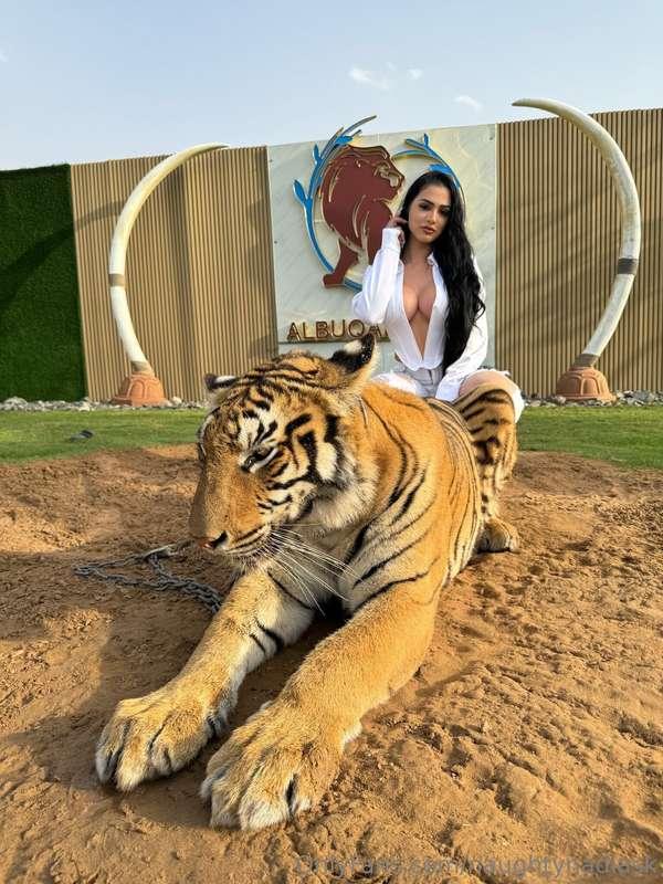 International Tiger day.. Lets worship this real king! 🐅