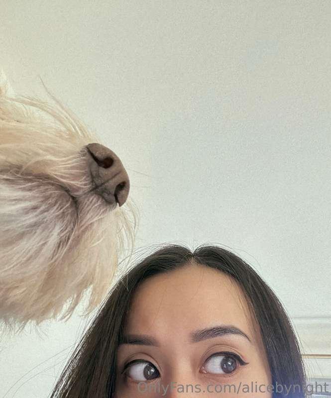 The most heartwarming day cuddle session with my fluffy dog...