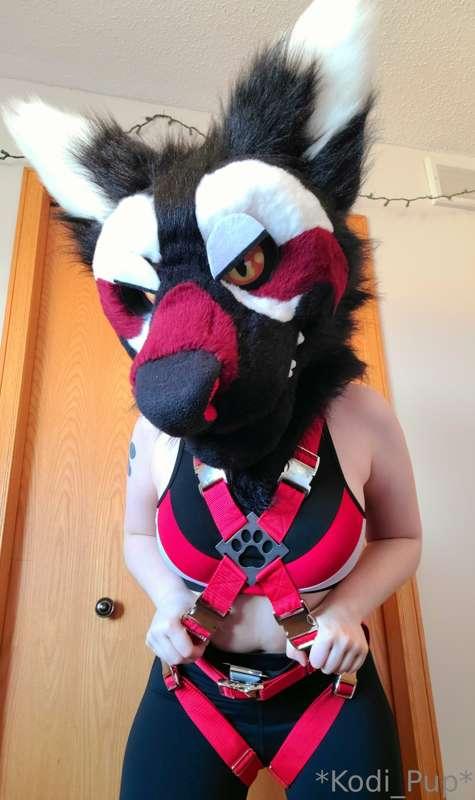Ok, this outfit I put together is 👀👌