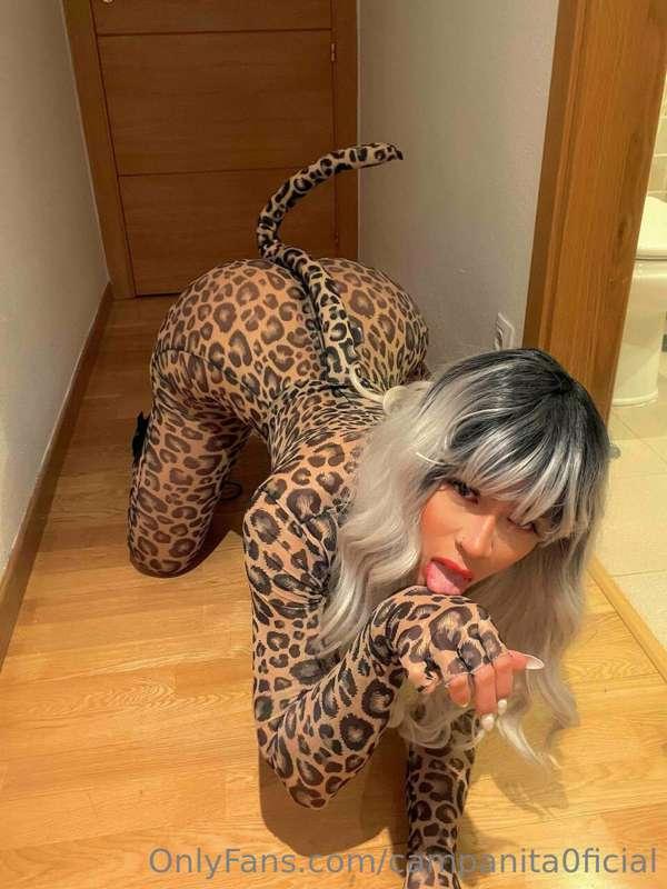 I have many costumes for you to wear, love. Do you like them..