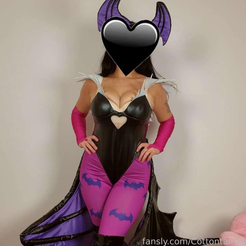 CottontailVA image #3