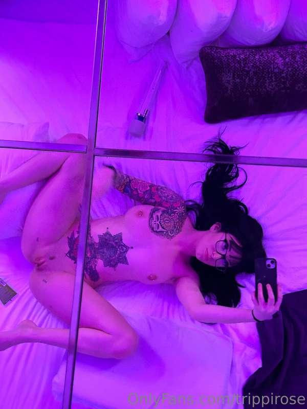 trippirose image #1