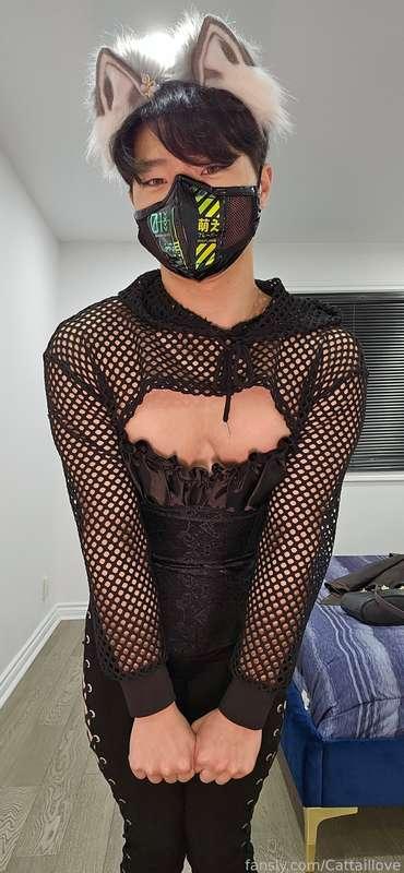 cattaillove image #1