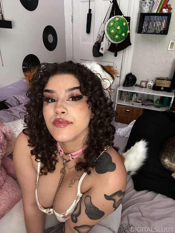 bunnisluut image #17