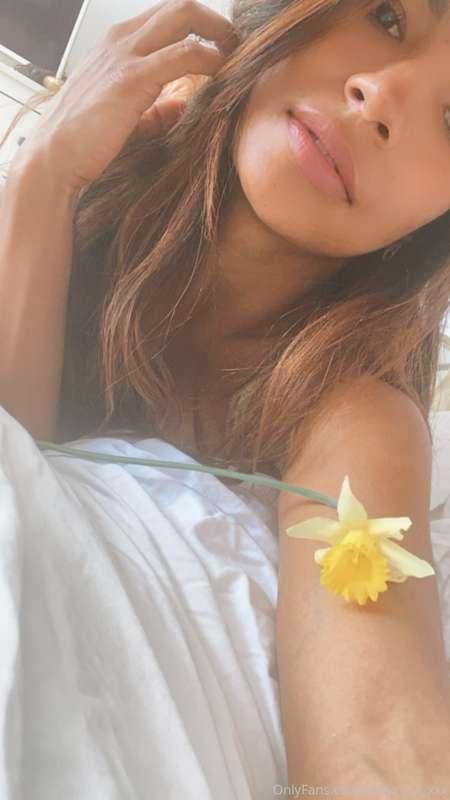 Flower 🌼