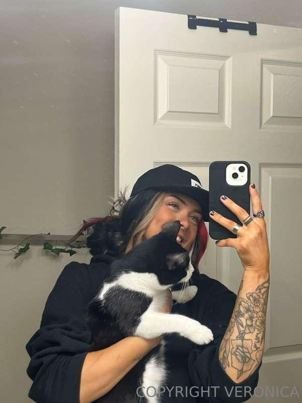🐱🐱